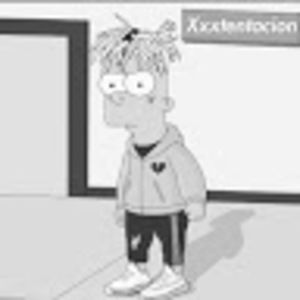 Meet your Posher, Gavin